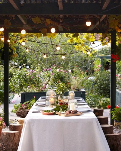 Festoon hire garden party - hire,